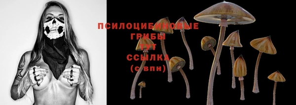 соль курить ск Алзамай