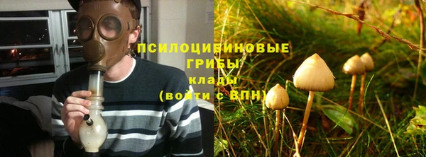 соль курить ск Алзамай