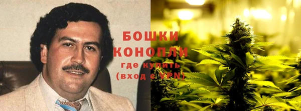 спайс Алексин
