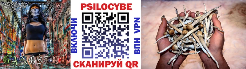 продажа наркотиков  Трёхгорный  Псилоцибиновые грибы Psilocybe 
